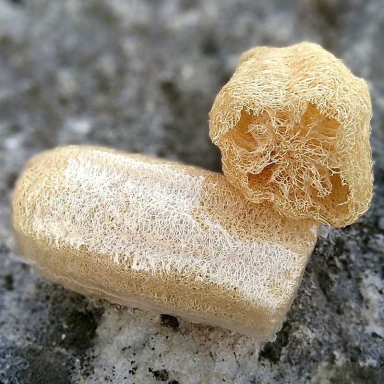 Lot De 15 éponges Naturelles Luffa (Loofah) - 100% Naturel, 15-20 Cm, Avec Ficelle