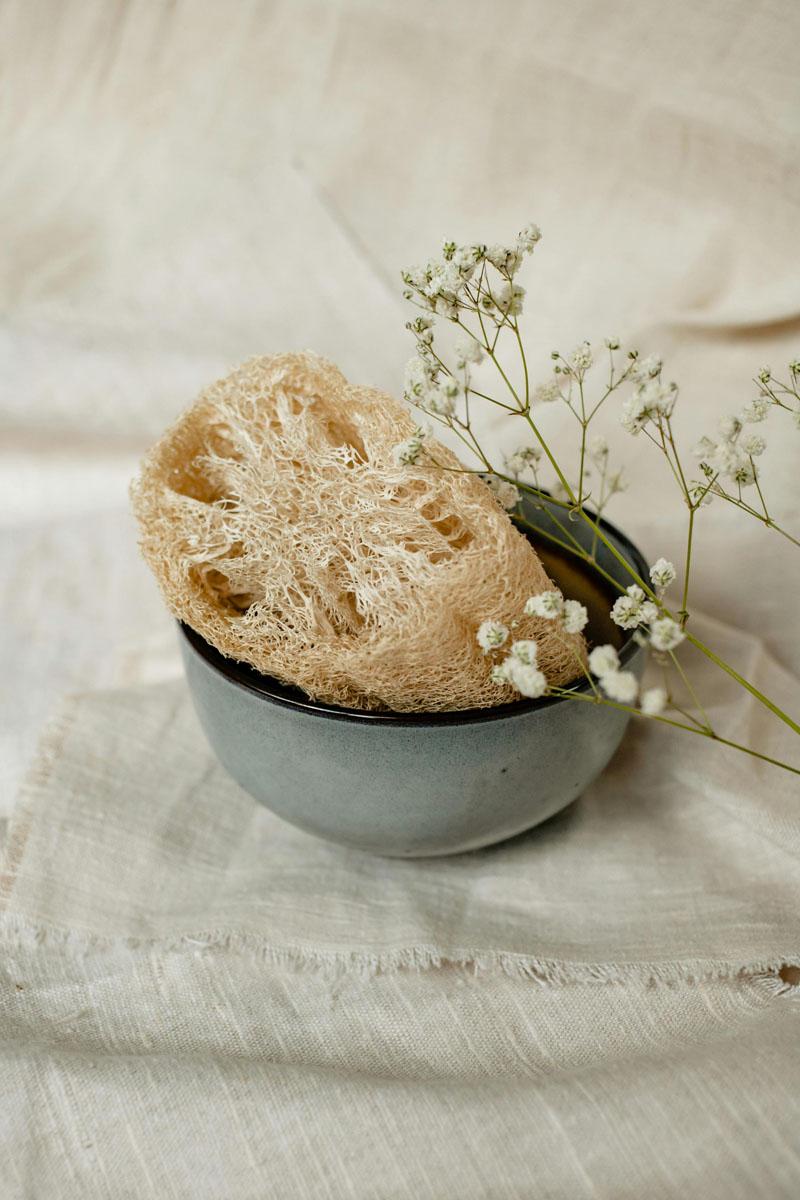 Éponges loofahs naturelles